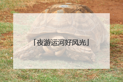 夜游运河好风光