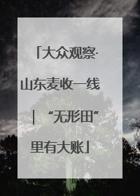 大众观察·山东麦收一线｜“无形田”里有大账