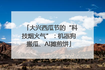 大兴西瓜节的“科技烟火气”：机器狗搬瓜、AI摊煎饼
