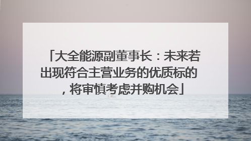 大全能源副董事长：未来若出现符合主营业务的优质标的，将审慎考虑并购机会