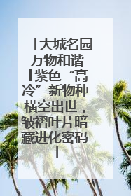 大城名园 万物和谐│紫色“高冷”新物种横空出世，皱褶叶片暗藏进化密码