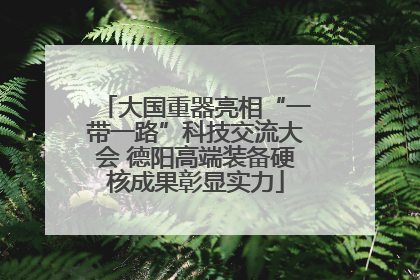 大国重器亮相“一带一路”科技交流大会 德阳高端装备硬核成果彰显实力