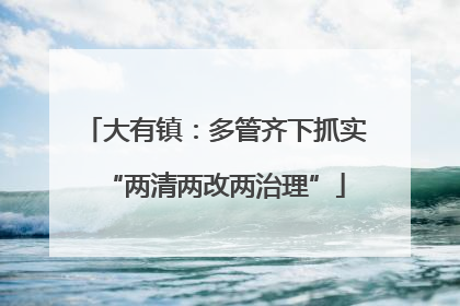 大有镇：多管齐下抓实“两清两改两治理”