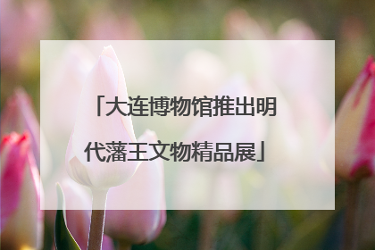 大连博物馆推出明代藩王文物精品展