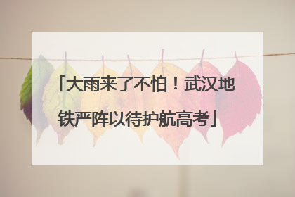 大雨来了不怕！武汉地铁严阵以待护航高考