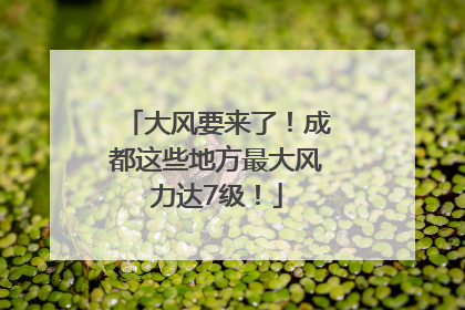大风要来了！成都这些地方最大风力达7级！