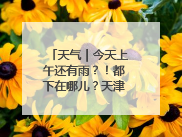 天气｜今天上午还有雨？！都下在哪儿？天津最新预报→