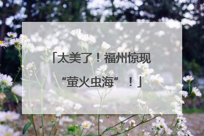 太美了！福州惊现“萤火虫海”！
