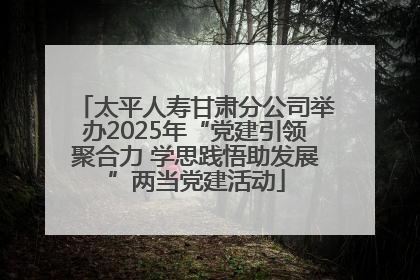 太平人寿甘肃分公司举办2025年“党建引领聚合力 学思践悟助发展”两当党建活动