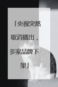 央视突然取消播出，多家品牌下架