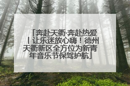 奔赴天衢·奔赴热爱丨让乐迷放心嗨！德州天衢新区全方位为新青年音乐节保驾护航