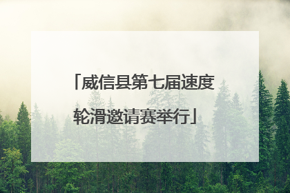 威信县第七届速度轮滑邀请赛举行