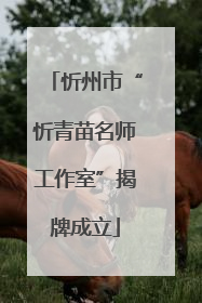 忻州市“忻青苗名师工作室”揭牌成立