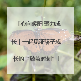 心向暖阳·聚力成长｜一起见证骄子成长的“破茧时刻”