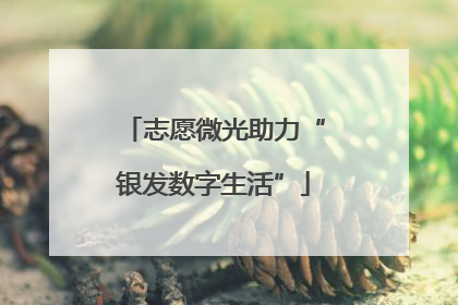 志愿微光助力“银发数字生活”