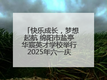 快乐成长，梦想起航 绵阳市盐亭华宸英才学校举行2025年六一庆祝活动