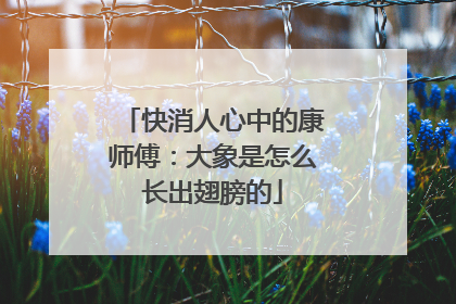 快消人心中的康师傅：大象是怎么长出翅膀的