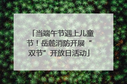 当端午节遇上儿童节！岳麓消防开展“双节”开放日活动