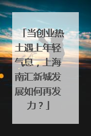 当创业热土遇上年轻气息，上海南汇新城发展如何再发力？
