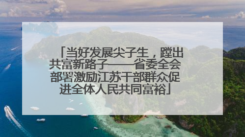 当好发展尖子生，蹚出共富新路子——省委全会部署激励江苏干部群众促进全体人民共同富裕