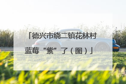 德兴市绕二镇花林村蓝莓“紫”了（图）