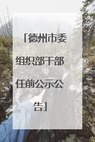 德州市委组织部干部任前公示公告