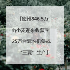 德州846.5万亩小麦迎来收获季 25万台套农机备战“三夏”生产