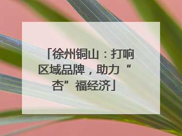徐州铜山：打响区域品牌，助力“杏”福经济