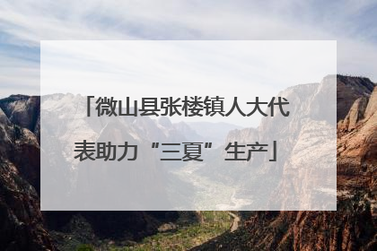 微山县张楼镇人大代表助力“三夏”生产