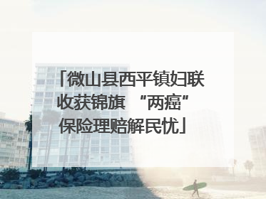 微山县西平镇妇联收获锦旗 “两癌”保险理赔解民忧