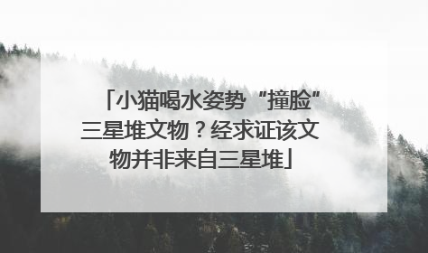 小猫喝水姿势“撞脸”三星堆文物？经求证该文物并非来自三星堆