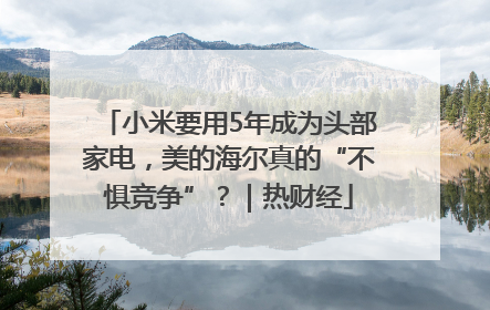 小米要用5年成为头部家电，美的海尔真的“不惧竞争”？｜热财经
