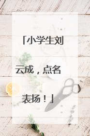小学生刘云成，点名表扬！