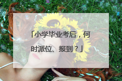 小学毕业考后，何时派位、报到？
