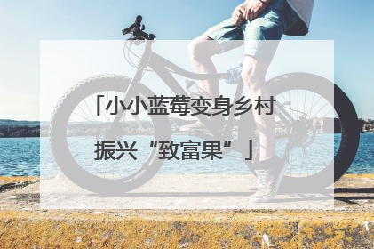 小小蓝莓变身乡村振兴“致富果”