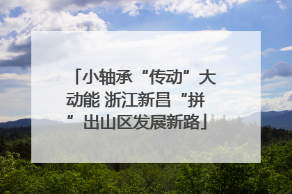 小轴承“传动”大动能 浙江新昌“拼”出山区发展新路