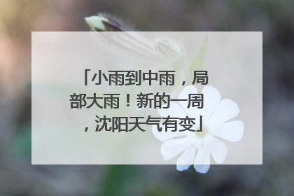 小雨到中雨，局部大雨！新的一周，沈阳天气有变