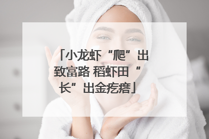 小龙虾“爬”出致富路 稻虾田“长”出金疙瘩