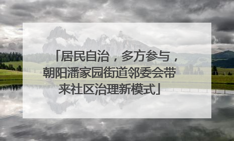 居民自治，多方参与，朝阳潘家园街道邻委会带来社区治理新模式