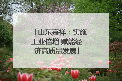 山东嘉祥：实施工业倍增 赋能经济高质量发展