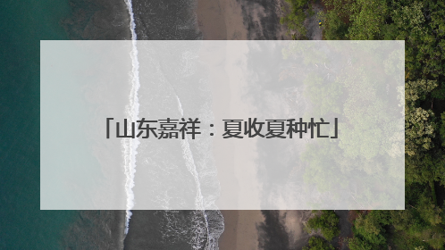 山东嘉祥：夏收夏种忙