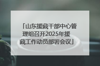 山东援藏干部中心管理组召开2025年援藏工作动员部署会议