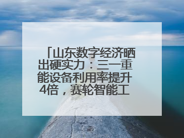 山东数字经济晒出硬实力：三一重能设备利用率提升4倍，赛轮智能工厂38秒生产一条轮胎