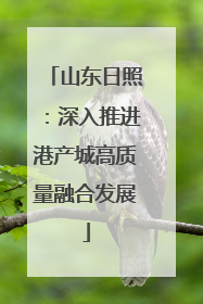 山东日照：深入推进港产城高质量融合发展