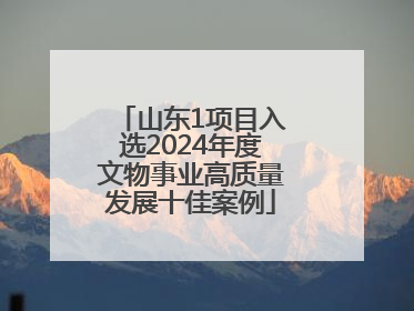 山东1项目入选2024年度文物事业高质量发展十佳案例
