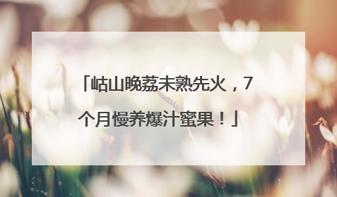 岵山晚荔未熟先火，7个月慢养爆汁蜜果！