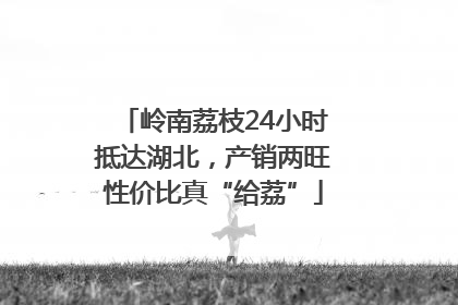 岭南荔枝24小时抵达湖北，产销两旺性价比真“给荔”