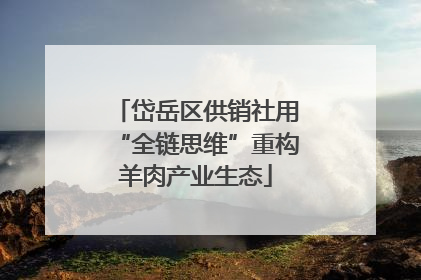 岱岳区供销社用“全链思维”重构羊肉产业生态