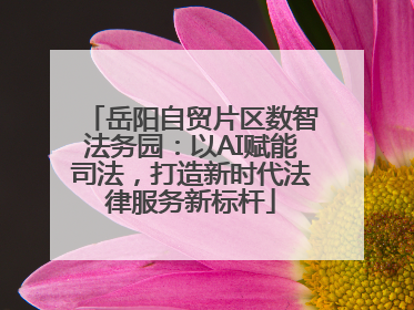 岳阳自贸片区数智法务园：以AI赋能司法，打造新时代法律服务新标杆