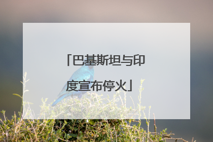 巴基斯坦与印度宣布停火